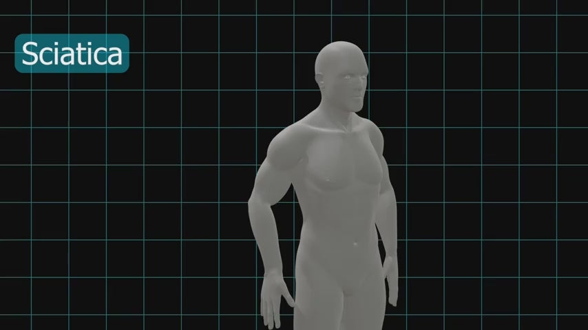 Orthopedic Back Support Brace